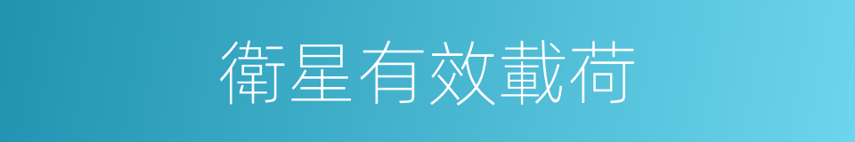 衛星有效載荷的同義詞