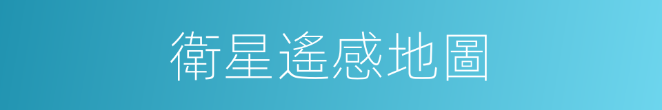 衛星遙感地圖的同義詞