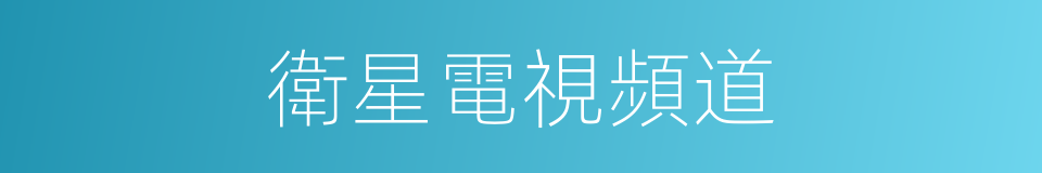衛星電視頻道的同義詞