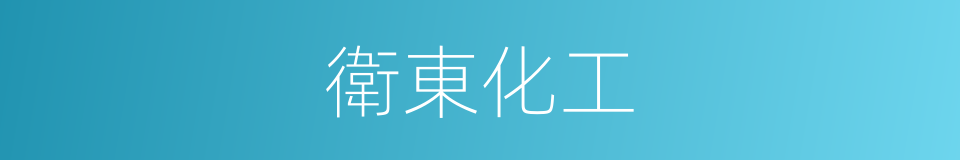 衛東化工的同義詞
