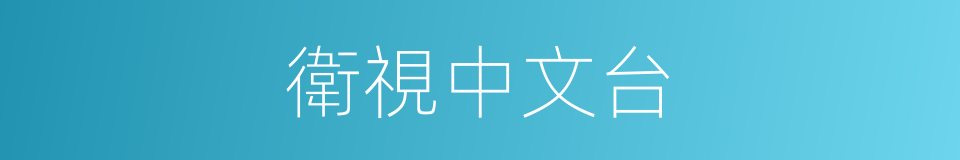 衛視中文台的同義詞