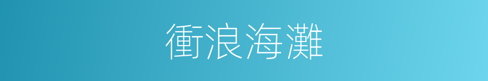 衝浪海灘的同義詞