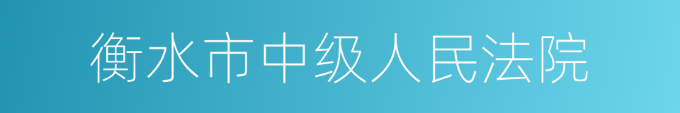 衡水市中级人民法院的同义词