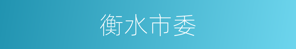 衡水市委的同义词