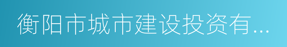 衡阳市城市建设投资有限公司的意思