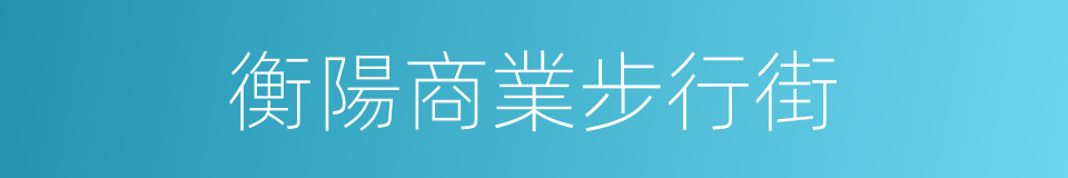 衡陽商業步行街的同義詞