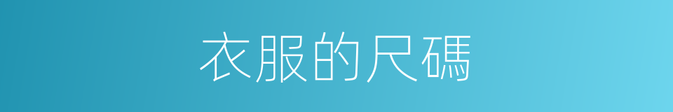 衣服的尺碼的同義詞