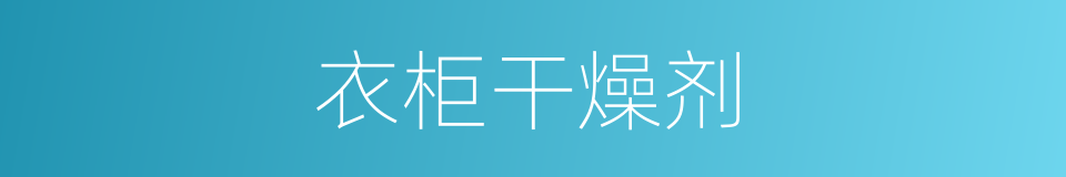 衣柜干燥剂的同义词