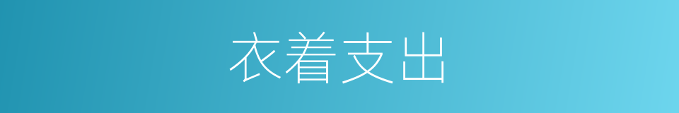衣着支出的同义词