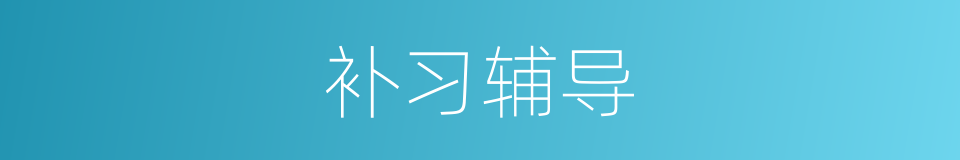 补习辅导的同义词