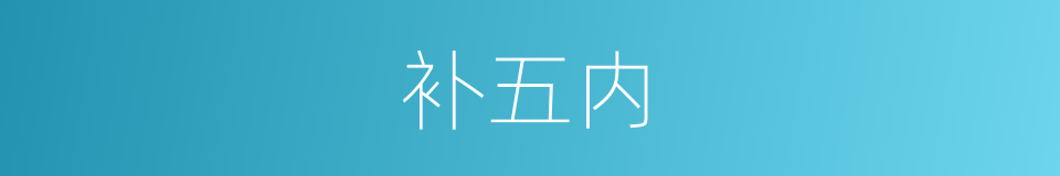 补五内的同义词
