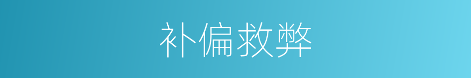 补偏救弊的意思