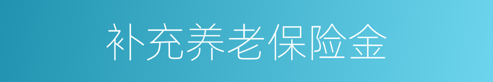 补充养老保险金的同义词