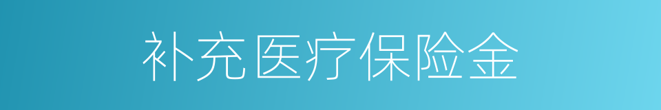 补充医疗保险金的同义词