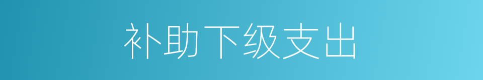 补助下级支出的同义词