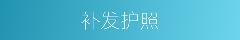 补发护照的同义词