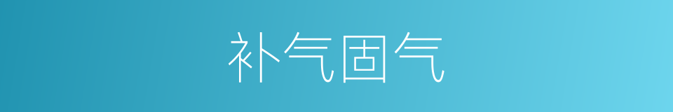 补气固气的同义词