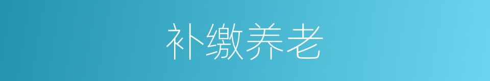 补缴养老的同义词