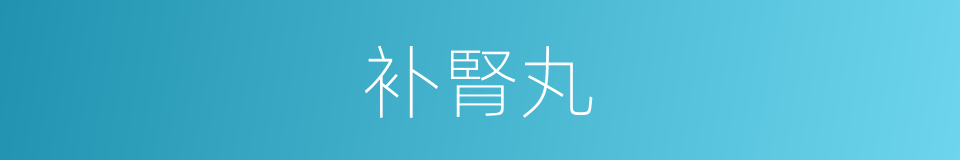 补腎丸的同義詞