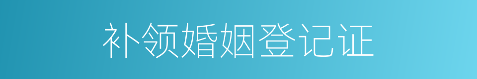补领婚姻登记证的同义词