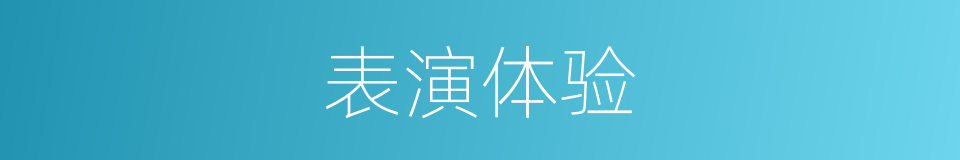 表演体验的同义词