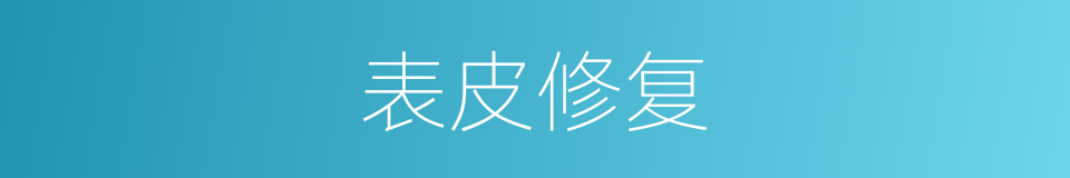 表皮修复的同义词