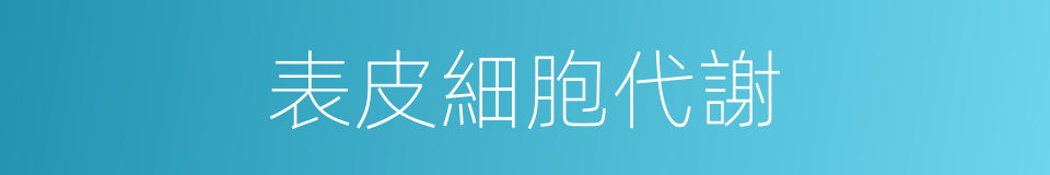 表皮細胞代謝的同義詞