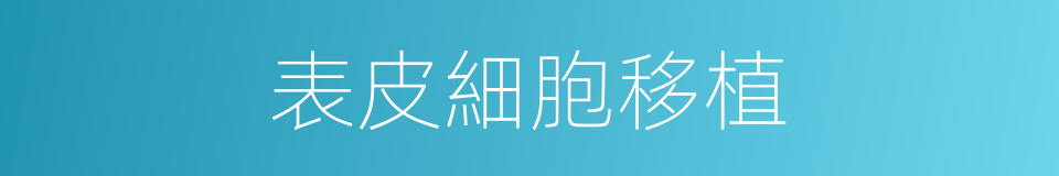 表皮細胞移植的同義詞