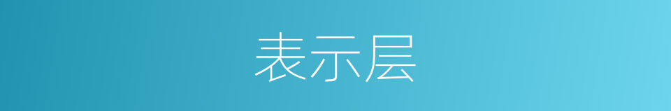 表示层的同义词