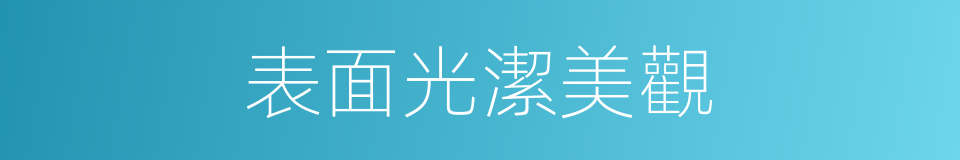 表面光潔美觀的同義詞