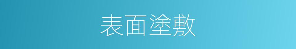 表面塗敷的同義詞