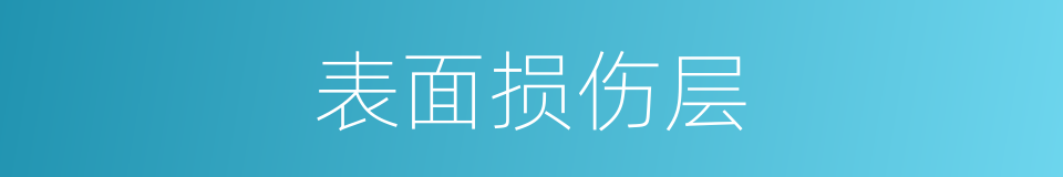 表面损伤层的同义词