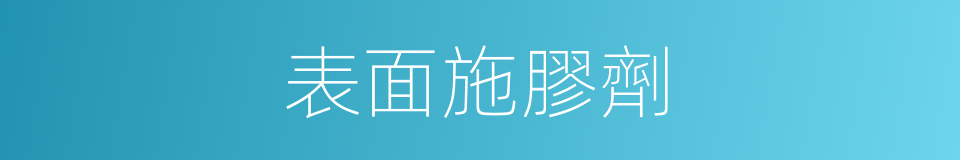 表面施膠劑的同義詞