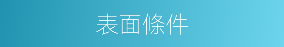 表面條件的同義詞