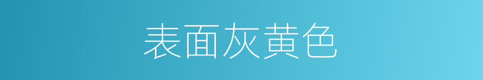 表面灰黄色的同义词