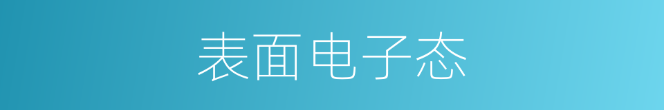 表面电子态的同义词