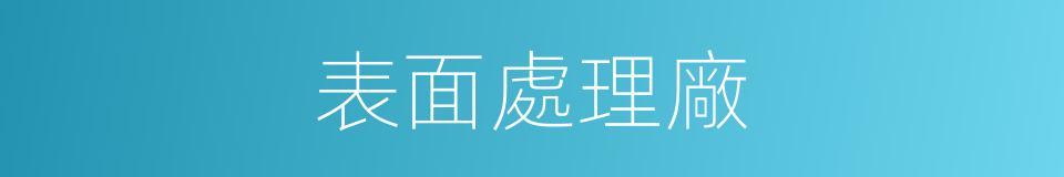 表面處理廠的同義詞