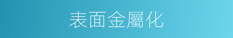 表面金屬化的同義詞