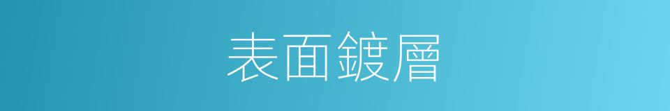 表面鍍層的同義詞
