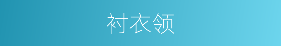 衬衣领的同义词