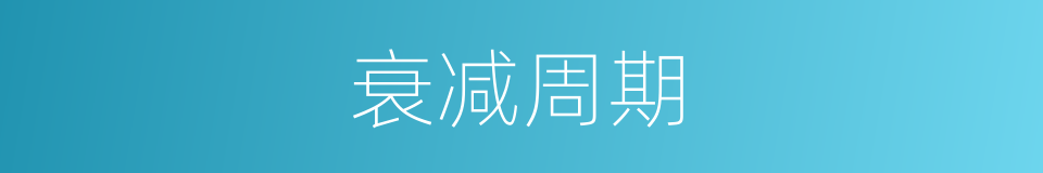 衰减周期的同义词