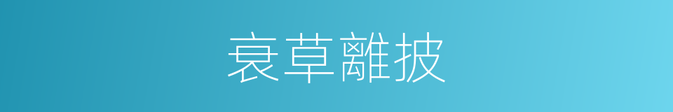 衰草離披的意思