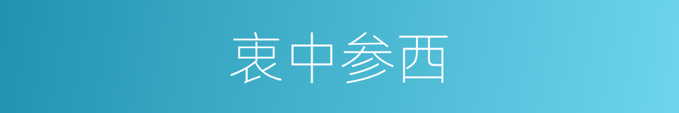 衷中参西的同义词