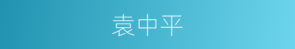 袁中平的同义词