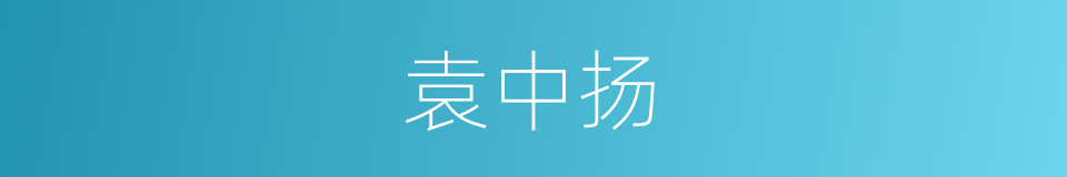 袁中扬的同义词