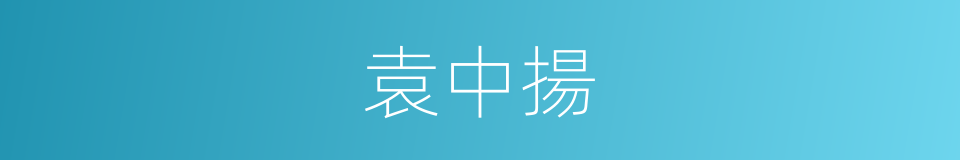 袁中揚的同義詞