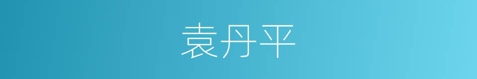 袁丹平的同义词