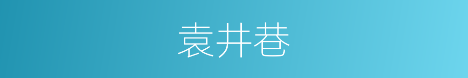 袁井巷的同义词