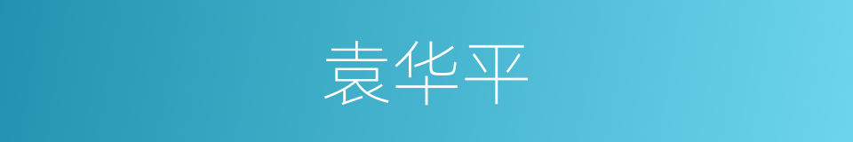 袁华平的同义词