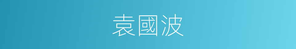 袁國波的同義詞